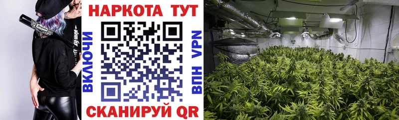 Магазины продажи наркотиков Заинск Кокаин МЕФ А ПВП Бошки Шишки АМФЕТАМИН ГАШИШ