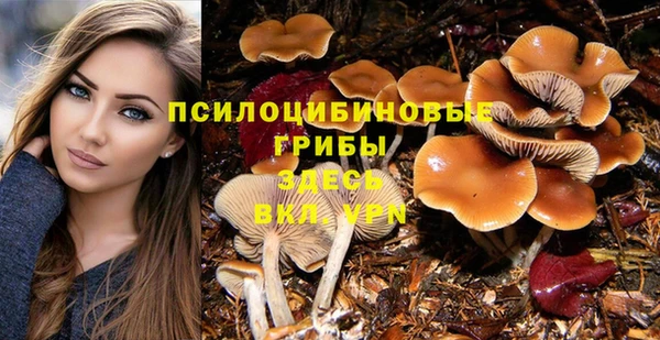 скорость Балахна