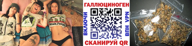 Галлюциногенные грибы Psilocybe  KRAKEN онион  Заинск 