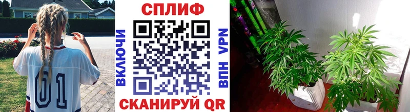 Бошки Шишки план  Заинск 